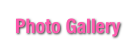 Photo Gallery